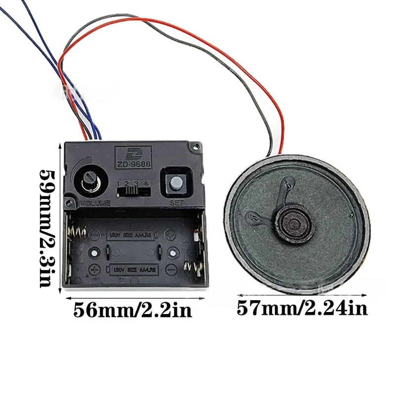 Creative Silent Pendulum Wall  - Luxury Watch In China review and price